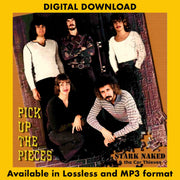 PICK UP THE PIECES: STARK NAKED & THE CAR THIEVES