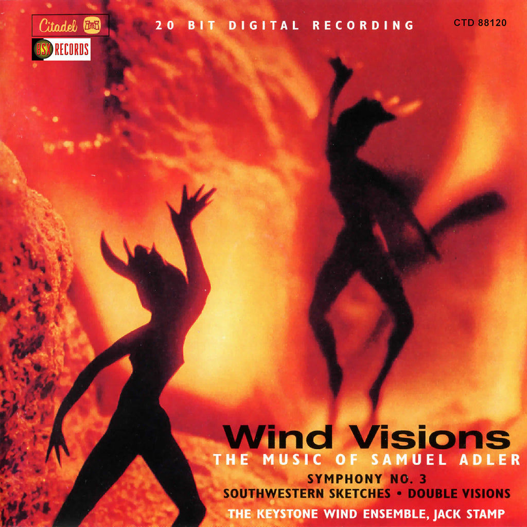 Fast and Rhythmic_From Double Visions