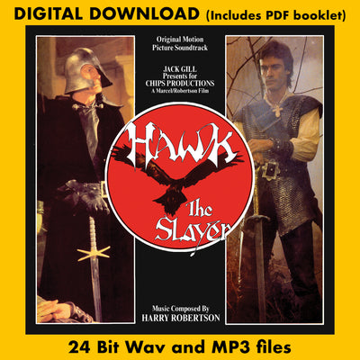 Theme from Hawk the Slayer