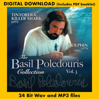 Dolphin Song
