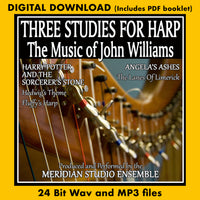 Harry Potter and the Sorcerer's Stone   Hedwig's Theme