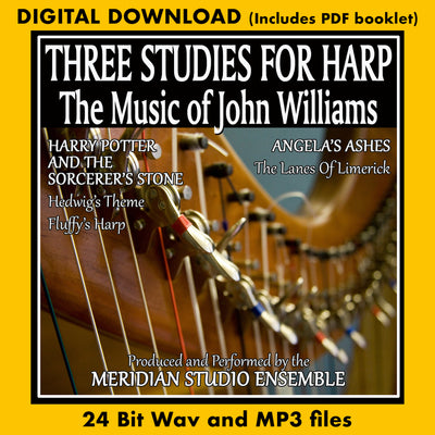 Harry Potter and the Sorcerer's Stone   Fluffy's Harp